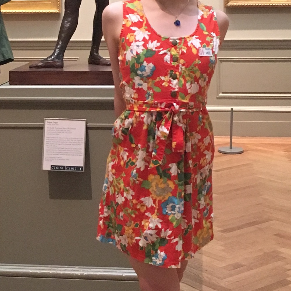 Tulle Flower Patterned Dress